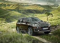 Bmw X5, Góry, Zieleń