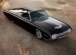 Ford, Thunderbird