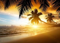 Zachód, Słońca, Morze, Plaża, Palmy