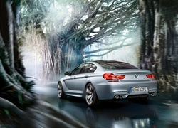 Bmw M6, Droga, Drzewa