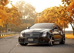 Cadillac, CTS-V, Drzewa, Droga