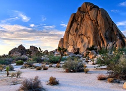 Stany Zjednoczone, Kalifornia, Park Narodowy Joshua Tree, Pustynia, Skała