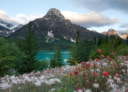 Góry, Jezioro, Kwiaty
