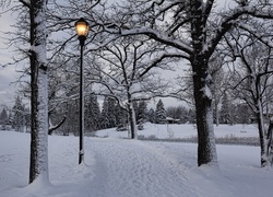 Zima, Park, Latarnie, Drzewa