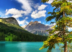 Kanada, Kolumbia Brytyjska, Park Narodowy Yoho, Jezioro Emerald Lake, Góry, Lasy
