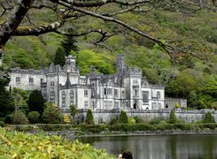 Opactwo Kylemore Abbey, Mainistir na Coille Móire, Hrabstwo Galway, Irlandia, Jezioro Kylemore Lough, Drzewa