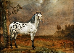 Malarstwo, Obraz, Koń