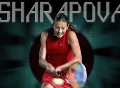 Tennis,Sharapova , piłka tenisowa