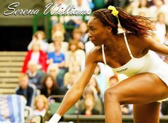 Tennis,Serena Williams