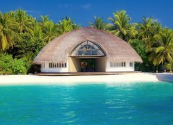 Tropiki, Malediwy, Budowla, Hotel, Basen, Palmy