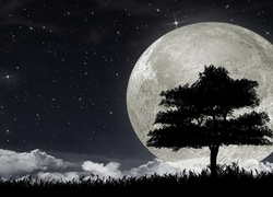 Księżyc, Gwiazdy, Drzewo