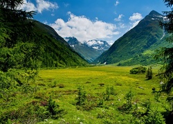 Góry, Lasy, Tyrol, Austria
