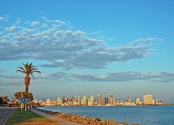 Stany Zjednoczone, San Diego, Drapacze Chmur, Ocean, Palma, Chmury