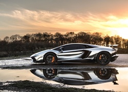 Lamborghini Adventador, Droga, Drzewa, Kałuża, Odbicie