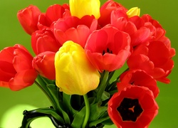 Bukiet, Czerwone, Tulipany