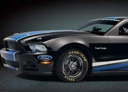 Ford Mustang, Cobra Jet