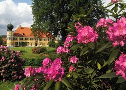 Zamek, Ramspau, Park, Wiosna, Rododendrony