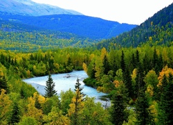 Góry, Lasy, Rzeka, Alaska