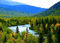 Góry, Lasy, Rzeka, Alaska
