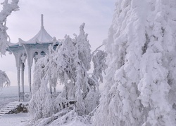 Zima, Śnieg, Ośnieżone, Drzewa, Świerki, Altana