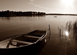 Las, Jezioro, Szuwary, Łódka, Przebijające, Światło, Sepia