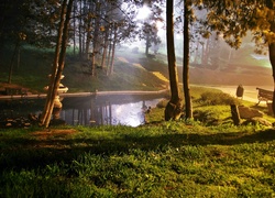 Park, Staw, Fontanna, Przebijające, Światło