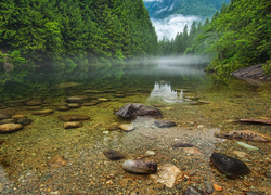 Jezioro, Kamienie, Mgła, Las, Kanada