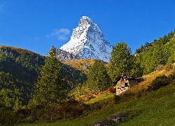 Góry, Szczyt, Matterhorn, Las, Łąka, Szopa, Światło, Cień