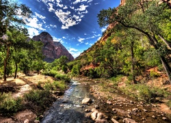 Stany Zjednoczone, Stan Utah, Park Narodowy Zion, Góry, Rzeka, Las