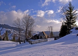 Zima, Góry, Dom, Drzewa