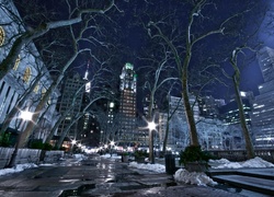 Stany Zjednoczone, Nowy Jork, Miasto, Noc, Zima, Drzewa