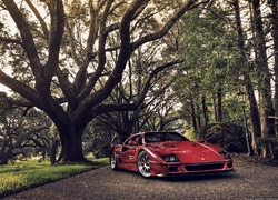 Ferrari F40, Drzewa