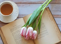 Tulipany, Filizanka, Herbata