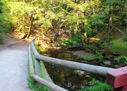 Park, Droga, Rzeczka
