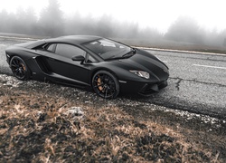 Lamborghini, Adventador, Droga, Drzewa, Mgła