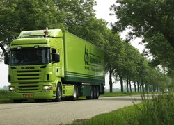 Scania, R500