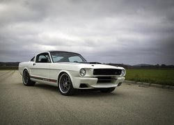 Ford Mustang Blizzard