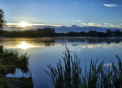 Jezioro, Słońce, Drzewa