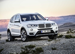 Srebrne, BMW X3