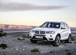 Srebrne, bmw x3