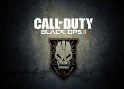 Call of Duty Black Ops 2