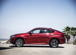 Czerwone, BMW X6