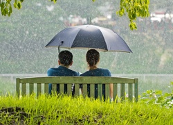 Park, Deszcz, Ławka, Para, Parasol