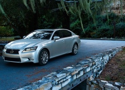 Lexus, GS 350, Drzewa