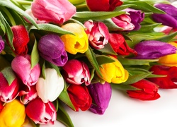 Bukiet, Kolorowe, Tulipany
