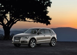 Audi Q5 SUV