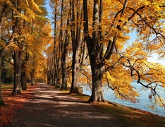 Jesień, Park