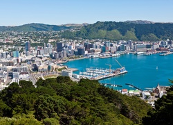 Nowa Zelandia, Wellington, Miasto