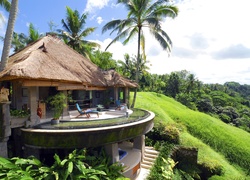Indonezja, Wyspa, Bali, Hotel, Palmy