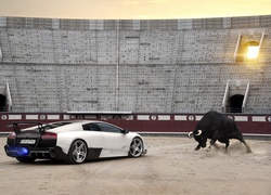 Lamborghini, Murcielago, Stadion, Byk